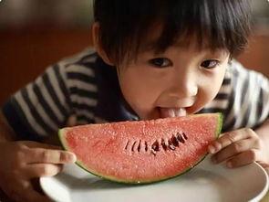 娱乐吃瓜酱这就是夏天